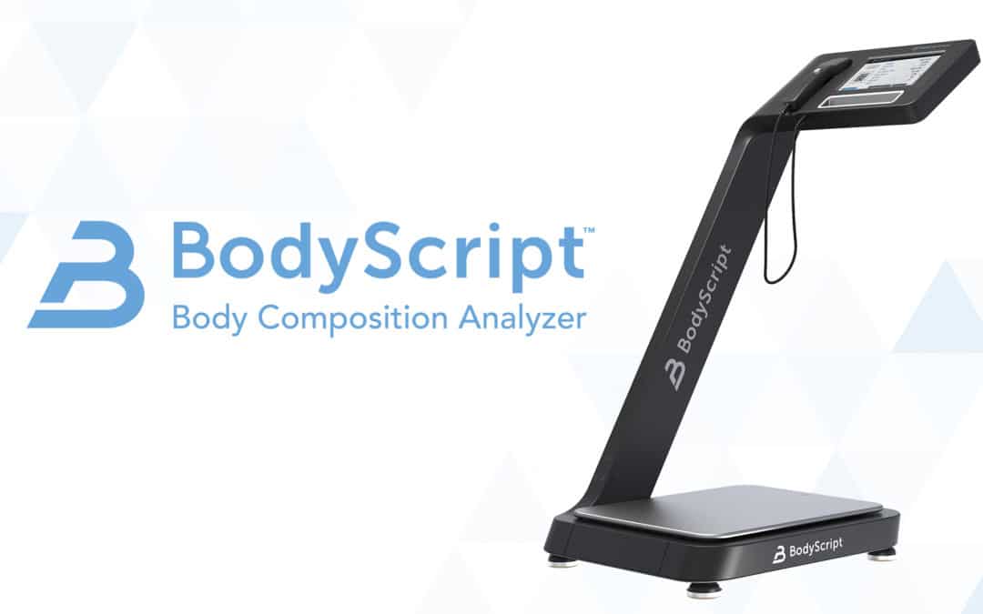 ElephantMark is Proud to Announce BodyScript™ was recognized as one of the “Best Monogram Logo Designs” By DesignRush