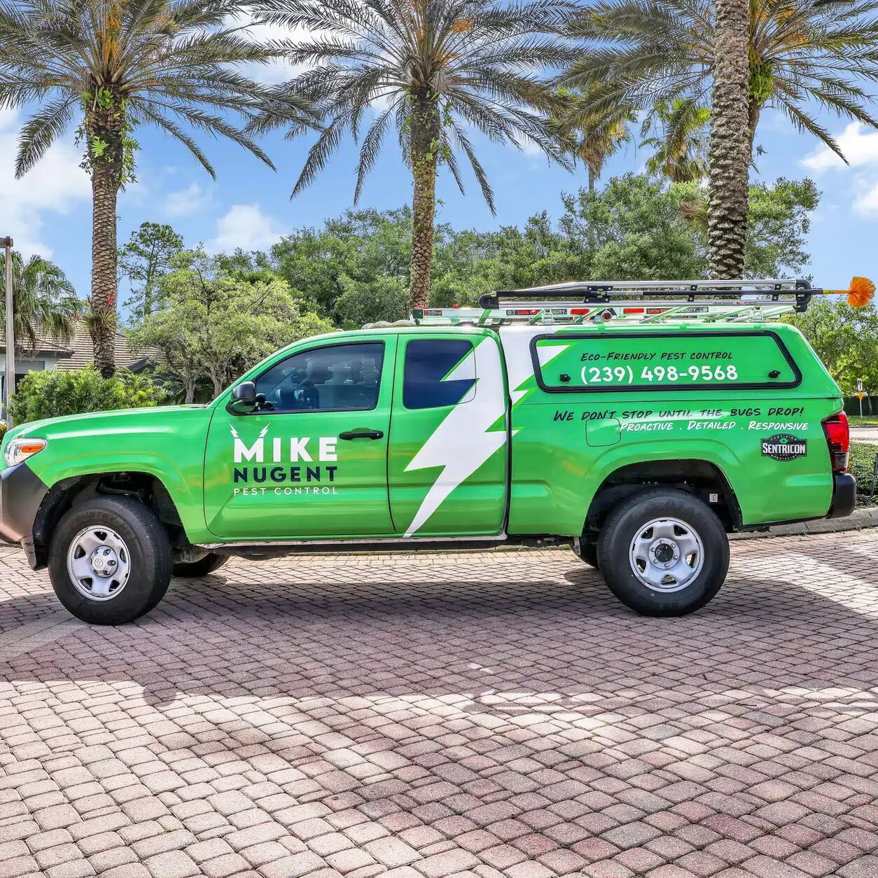 Mike Nugent Pest Control — ElephantMark case study